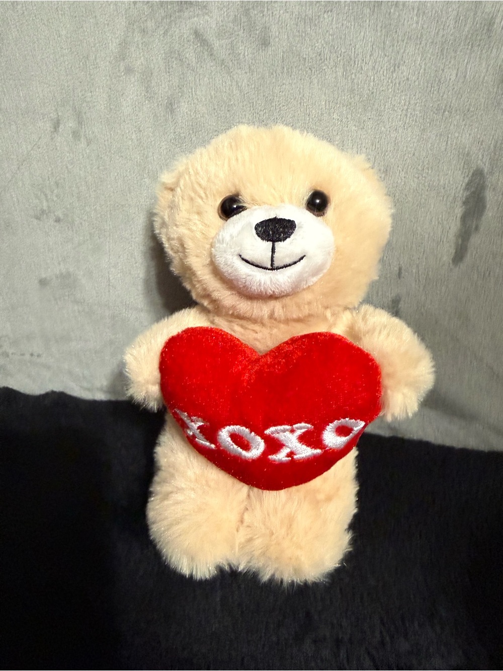 DanDee International Teddy Bear Red LOVE Heart Valentine Plush